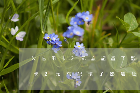 欠信用卡2元忘記還了影響征信不-欠信用卡2元忘記還了影響征信不