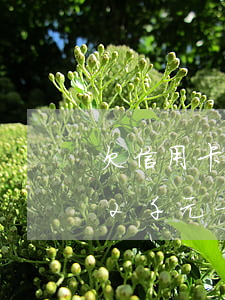 欠信用卡2千元一年還多少錢合適（欠信用卡2千元一年還多少錢）