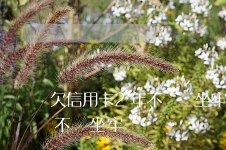 欠信用卡2年不還會坐牢嗎(欠信用卡不還會不會坐牢)