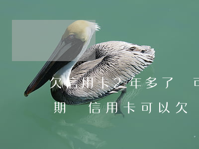 欠信用卡2年多了還可以協(xié)商分期嗎（信用卡可以欠兩年嗎）