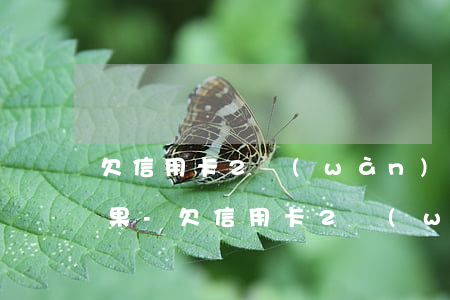 欠信用卡2萬(wàn)以下還不起什么后果-欠信用卡2萬(wàn)以下還不起什么后果呢