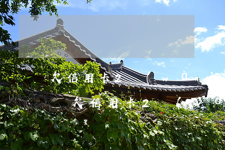 欠信用卡2萬(wàn)實(shí)在沒錢(欠信用卡2萬(wàn)多)