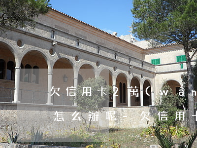 欠信用卡2萬(wàn)無(wú)力償還怎么辦呢-欠信用卡2萬(wàn)無(wú)力償還怎么辦呢