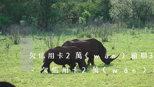 欠信用卡2萬(wàn)逾期3年了怎么辦-欠信用卡2萬(wàn)逾期3年了怎么辦呢