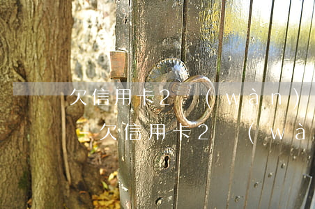 欠信用卡2萬(wàn)逾期一年多少利息-欠信用卡2萬(wàn)逾期一年多少利息啊