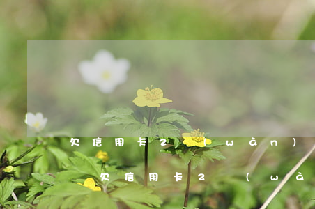 欠信用卡2萬(wàn)逾期慢慢還清征信嗎(欠信用卡2萬(wàn)逾期慢慢還清征信嗎)