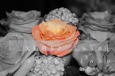 欠信用卡2萬(wàn)逾期變26萬(wàn)(欠2萬(wàn)信用卡逾期一年)