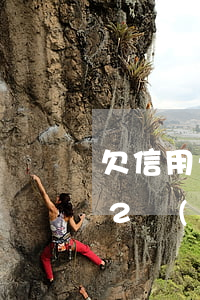 欠信用卡2萬(wàn)還款技巧 欠信用卡2萬(wàn)還款技巧和方法