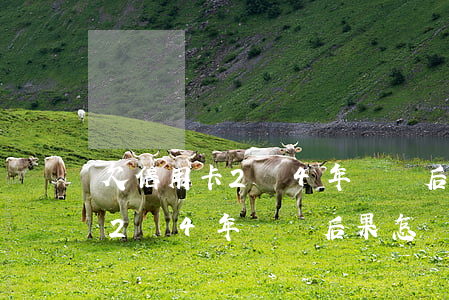 欠信用卡2萬4年沒還后果怎樣-欠信用卡2萬4年沒還后果怎樣呢