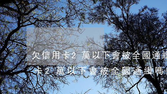 欠信用卡2萬以下會被全國通緝嗎-欠信用卡2萬以下會被全國通緝嗎知乎