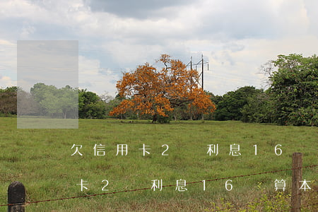 欠信用卡2萬利息16萬算本金嗎-欠信用卡2萬利息16萬算本金嗎怎么算
