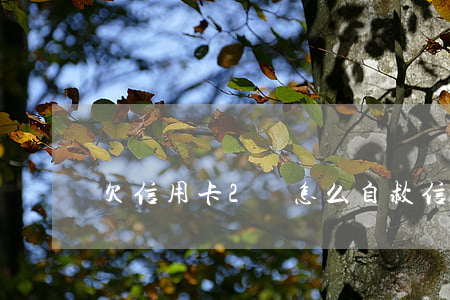 欠信用卡2萬怎么自救(信用卡欠款兩萬)