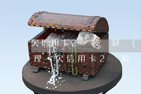欠信用卡2萬被強制執(zhí)行怎么處理-欠信用卡2萬被強制執(zhí)行怎么處理呢