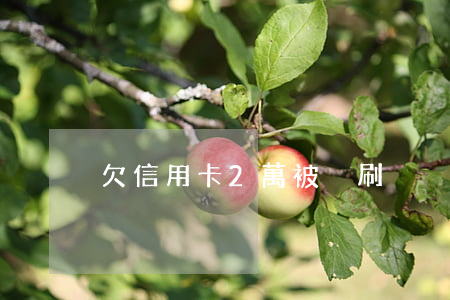 欠信用卡2萬被盜刷