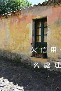 欠信用卡2萬被訴訟(欠信用卡2萬被訴訟怎么處理)