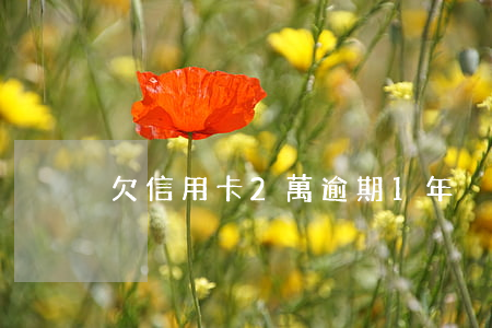 欠信用卡2萬逾期1年
