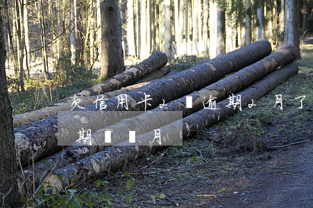欠信用卡2萬逾期2月了(信用卡欠款兩萬逾期兩個月)