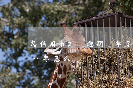 欠信用卡2萬逾期兩年了(信用卡欠2萬逾期一年怎么辦)