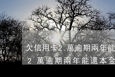 欠信用卡2萬逾期兩年能還本金嗎（欠信用卡2萬逾期兩年能還本金嗎）