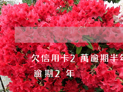 欠信用卡2萬逾期半年(信用卡欠款5000逾期2年)