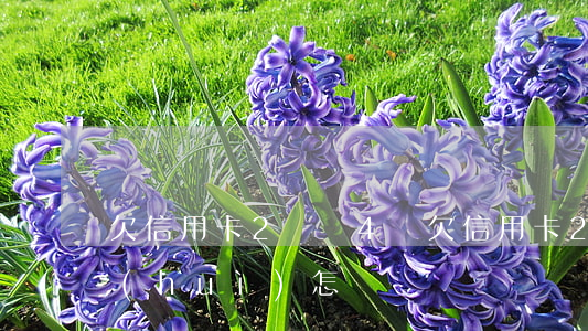 欠信用卡2萬還4萬(欠信用卡2萬還4萬會(huì)怎樣)