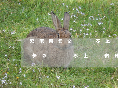 欠信用卡2萬還不上會有什么后果-欠信用卡2萬還不上會有什么后果嗎