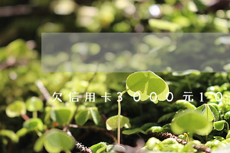 欠信用卡3000元10年沒還-