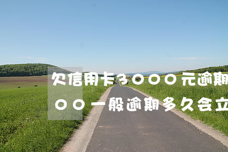 欠信用卡3000元逾期半年(欠信用卡3000一般逾期多久会立案)