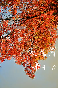 欠信用卡3000十年未还的后果-欠信用卡3000十年未还的后果是什么