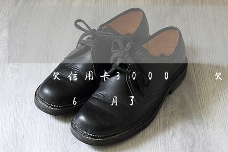 欠信用卡3000塊錢(欠信用卡3000塊錢6個月了)
