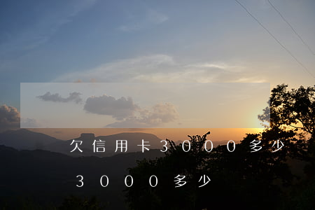 欠信用卡3000多少壞賬怎么算（欠信用卡3000多少壞賬）