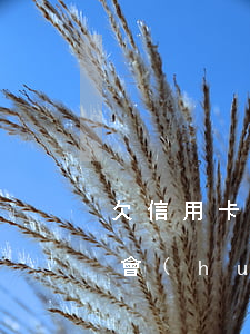 欠信用卡3000多(欠信用卡3000多久會(huì)被起訴)