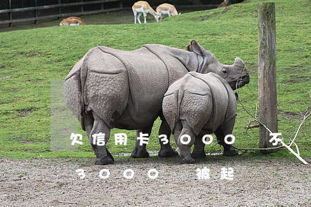 欠信用卡3000會不會起訴我-欠信用卡3000會被起訴嗎