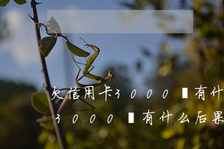 欠信用卡3000會有什么后果-欠信用卡3000會有什么后果嗎