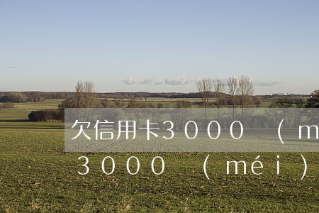 欠信用卡3000沒(méi)還（欠信用卡3000沒(méi)還）