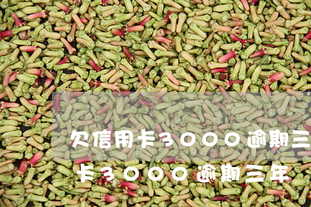 欠信用卡3000逾期三年還多少-欠信用卡3000逾期三年還多少利息