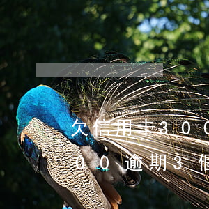 欠信用卡3000逾期半年（欠信用卡14000逾期3個月）