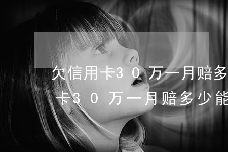 欠信用卡30万一月赔多少能还清-欠信用卡30万一月赔多少能还清钱