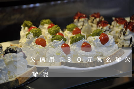 欠信用卡30元怎么辦(欠信用卡30元怎么辦呢)