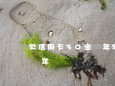 欠信用卡30坐幾年牢(欠信用卡30萬要判幾年)