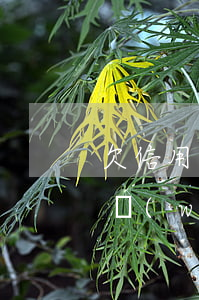 欠信用卡30塊錢逾期了（信用卡逾期30多萬(wàn)不敢回家）