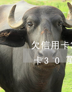 欠信用卡30萬(wàn)不活了-欠信用卡30萬(wàn),還不起了,想死了