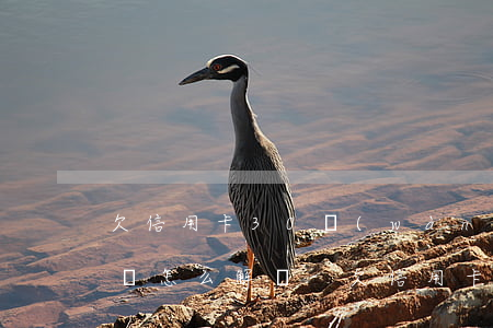 欠信用卡30萬(wàn)無(wú)力償還怎么解決-欠信用卡30萬(wàn)無(wú)力償還怎么解決呢
