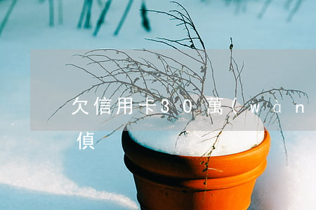 欠信用卡30萬(wàn)經(jīng)偵