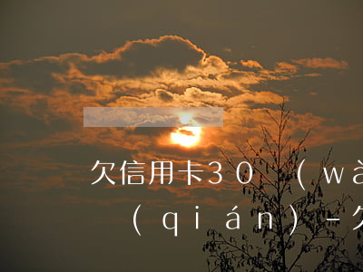 欠信用卡30萬(wàn)被拘留了還不上錢(qián)-欠信用卡30萬(wàn)被拘留了還不上錢(qián)怎么辦