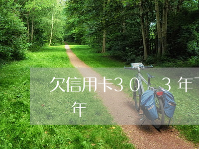 欠信用卡30萬3年了(欠信用卡30萬要判幾年)