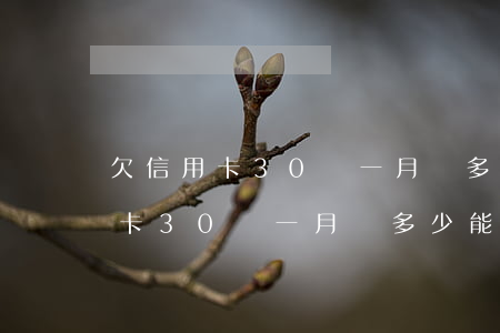 欠信用卡30萬一月賠多少能還清-欠信用卡30萬一月賠多少能還清錢