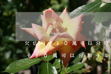 欠信用卡30萬可以分期十年還嗎-欠信用卡30萬可以分期十年還嗎