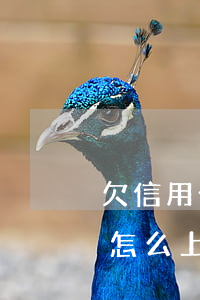 欠信用卡30萬怎么上岸-欠信用卡30萬怎么上岸的