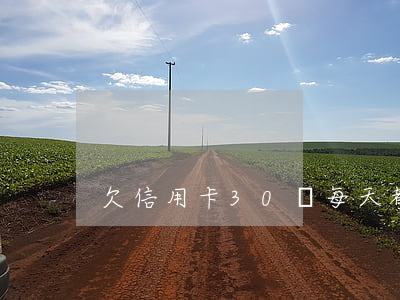 欠信用卡30萬每天都在還款日-